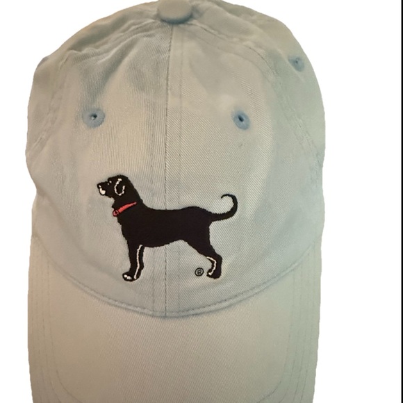 The Black Dog Ladies Baseball Hat Cap Cotton Adjustable Strap Blue - Picture 1 of 7